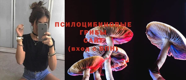 мескалин Заволжск