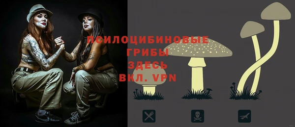 скорость Заволжье