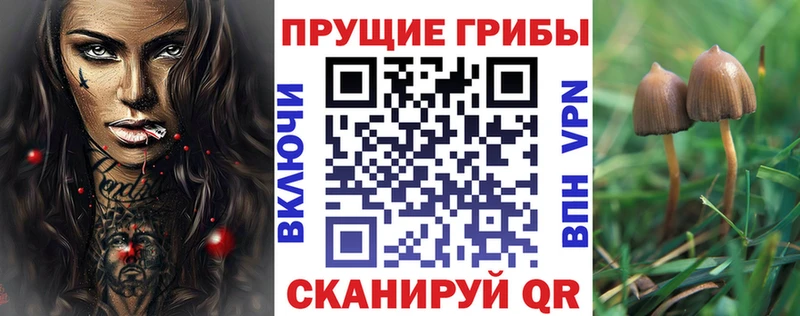 Купить  Краснокаменск  Галлюциногенные грибы Magic Shrooms 